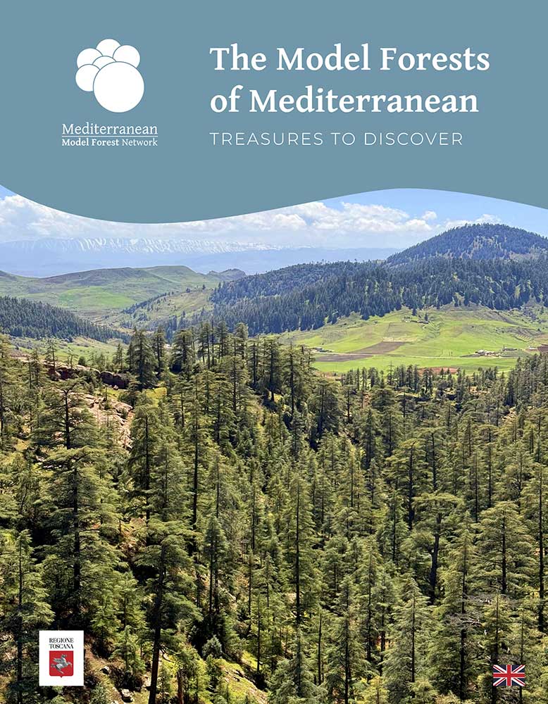 Brochure MMFN 2025 copertina