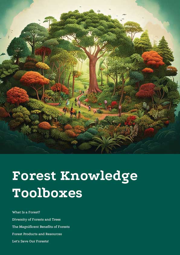Forest Knowledge Boxes Artboard