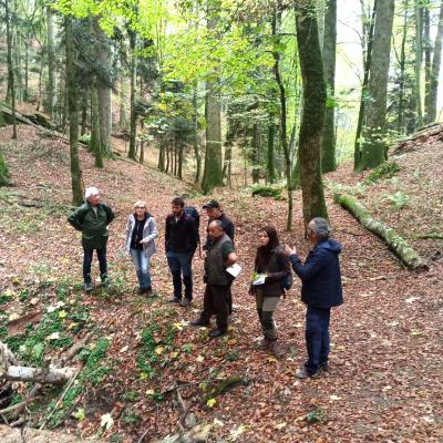 Tuscany Region Good Particles For Sustainable Forest Management 24 28 10 20224