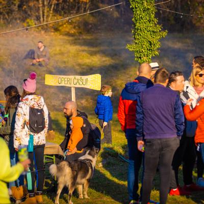 Hit Festival In The Model Forest Istria 15