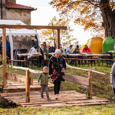 Hit Festival In The Model Forest Istria 23