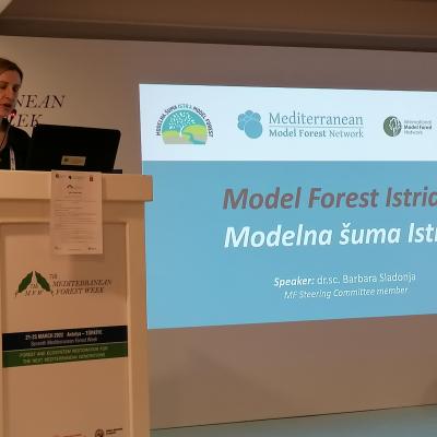 Medforum2022 34