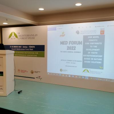 Medforum2022 6