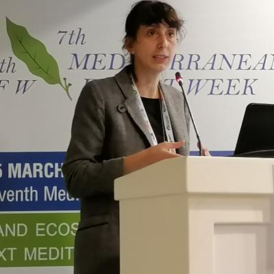 Medforum2022 87