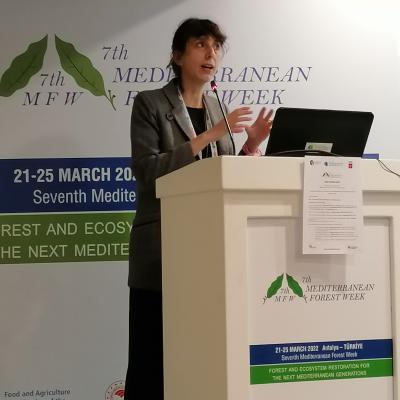 Medforum2022 88