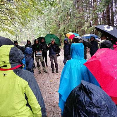 Nl75 Oneforest 2
